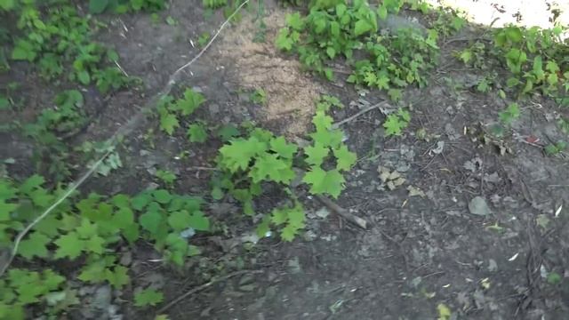 Бесплатное электричество из земли и старого радиатора смотреть онлайн