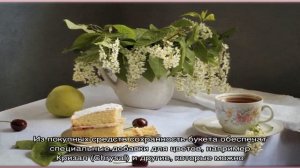 Как сохранить букет черемухи в вазе дольше? Как долго может простоять черемуха в воде?