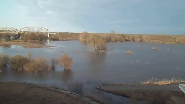 Разлив Днепра_02. Могилев 20.04.2013 смотреть онлайн