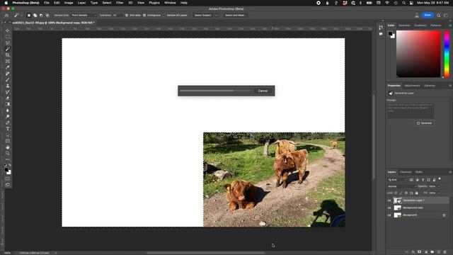 Photoshop (Beta), Generative Fill смотреть онлайн
