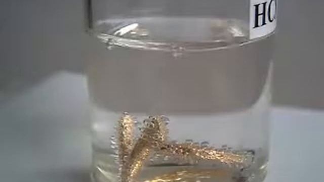 Гальваническая пара золото-цинк в соляной кислоте («растворение» золотого кольца) смотреть онлайн