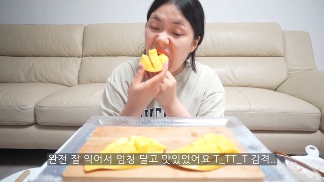 SUB)먹방브이로그)명랑핫도그신메뉴 떡볶이,불고기냉면,토스트,딸기청,딸기우유,자담치킨 맵슐랭,치즈볼,과자,초코아이스크림,망고,집밥 등 KOREANFOOD MUKBANG 폭식VLO