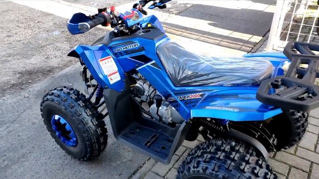 Tao Coyote смотреть онлайн