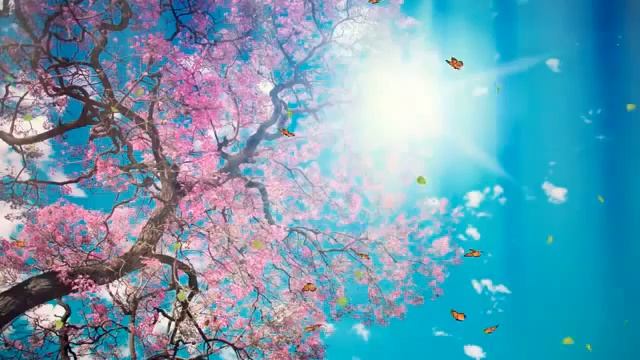 Что Тебе Подарить??? смотреть онлайн