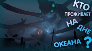 КТО ЖИВЕТ НА ДНЕ ОКЕАНА