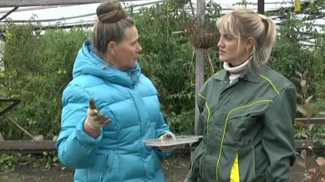 Рубрика "ЗаДачник": боремся со слизнями смотреть онлайн