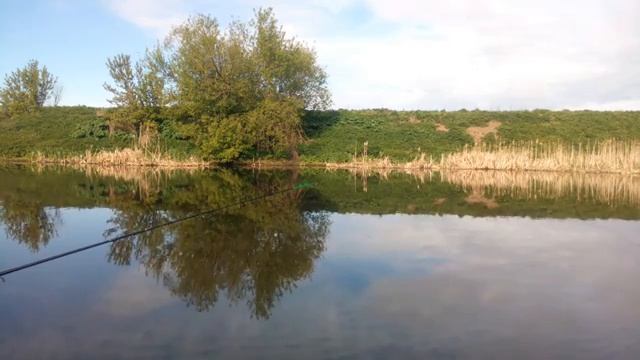 Утро на реке.Рыбалка в мае.Поплавок-Фидер. смотреть онлайн