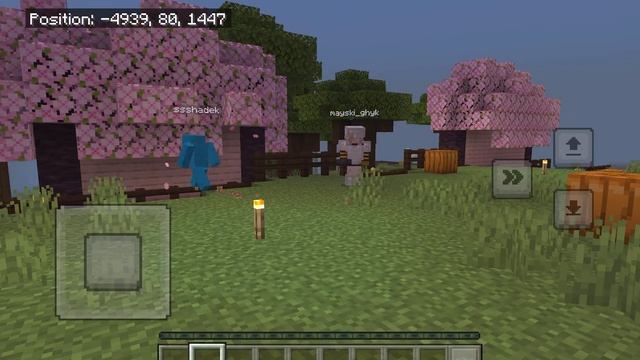 Сервер БЕЗ ПРИВАТОВ на 1.20 (Bedrock и Java) смотреть онлайн