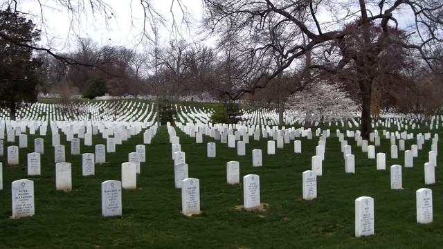 Возможна ли остановка сердца от чрезмерных щекоток?! смотреть онлайн