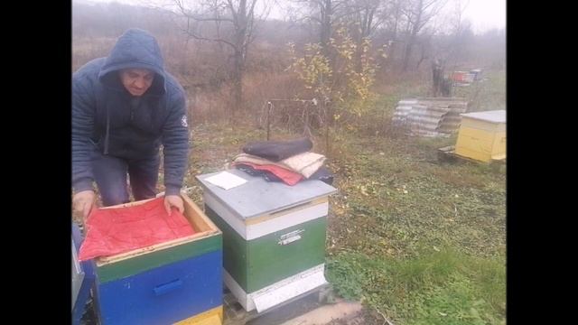 Когда и как утеплять пчел осенью смотреть онлайн