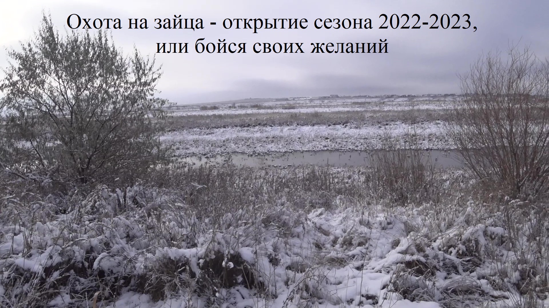 Охота на зайца - открытие сезона, или бойся своих желаний смотреть онлайн