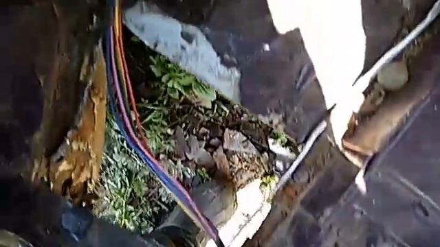 Угра и Угранский район.Кот и посевная кампания. смотреть онлайн