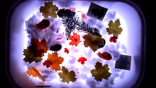 Сенсорная коробка по теме Лес смотреть онлайн