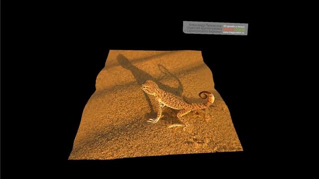 3D постер (стерео варио) "Ушастая круглоголовка с Сарыкумского бархана" (фото Александра Перевозова смотреть онлайн