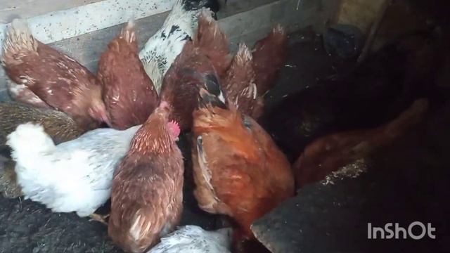 Мое первое видео знакомство смотреть онлайн