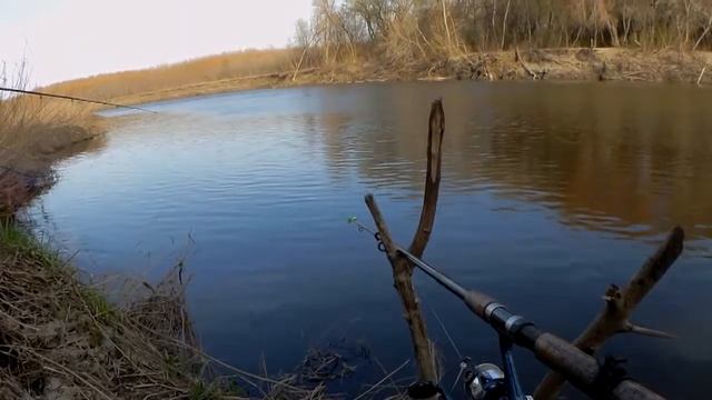 В ожидании поклевки карповых пород рыб смотреть онлайн