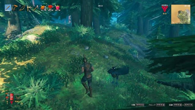 【Valheim S2】EP3 ヤンキーどもの棲家を荒らしに行ったら地獄だった [シーズン2] смотреть онлайн