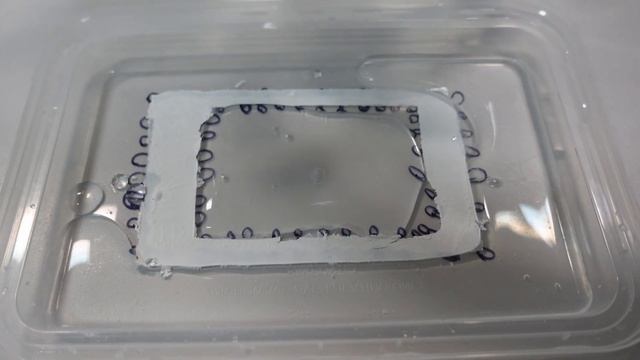 Plasma Membrane Simulator! смотреть онлайн