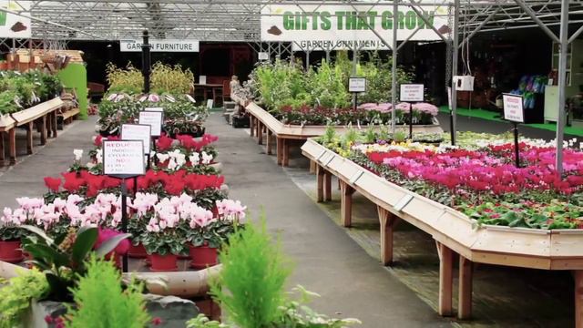 Embleys Nurseries | Buy Direct From The Grower | Preston, Lancashire смотреть онлайн