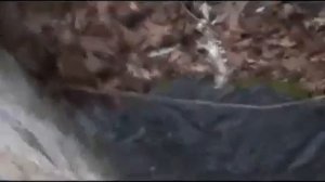 MarbleHornets (Мраморные Шершни) 1-30 сери...