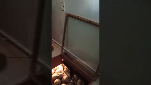 Помни о смерти...Свято-Никольский женский монастырь, Могилев смотреть онлайн