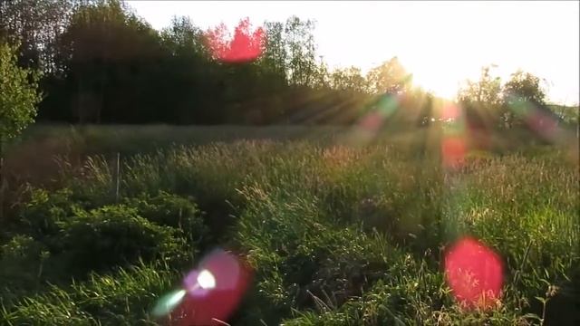 Судаково, 15 соток, берег озера