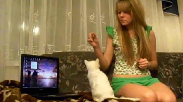 Дрессированная кошка - Зефирка) смотреть онлайн