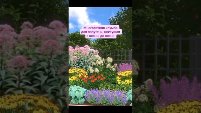 Многолетняя клумба для полутени, цветущая с весны до осени. смотреть онлайн