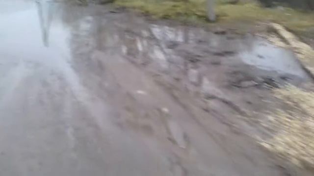 Болото в Красном (Краснинский район, Липецкая область) смотреть онлайн