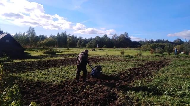 Испытания двух дополнительных фрез на мотоблоке Нева. смотреть онлайн