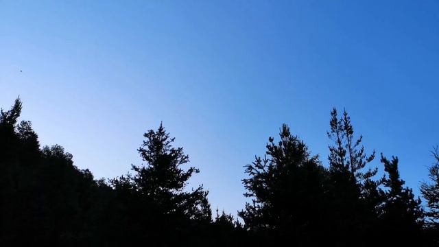 Фрагмент 8 дня экспедиции по Южной Америке