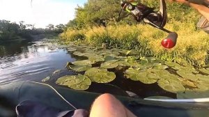 СТОЛЬКО ЩУКИ Я ЕЩЕ НЕ ЛОВИЛ НА ВОБЛЕР ДЖЕКСОН КАРАСЬ