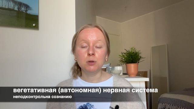 НЕРВНАЯ СИСТЕМА: МОЗГ И КИШЕЧНИК, СИМПАТИЧЕСКАЯ И ПАРАСИМПАТИЧЕСКАЯ, НЕЙРОМЕДИАТОРЫ. ЧАСТЬ ВТОРАЯ. смотреть онлайн