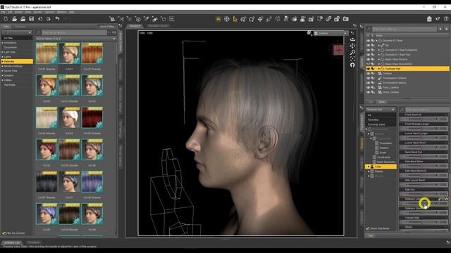 Daz Studio Beginners Guide To Create Older Characters