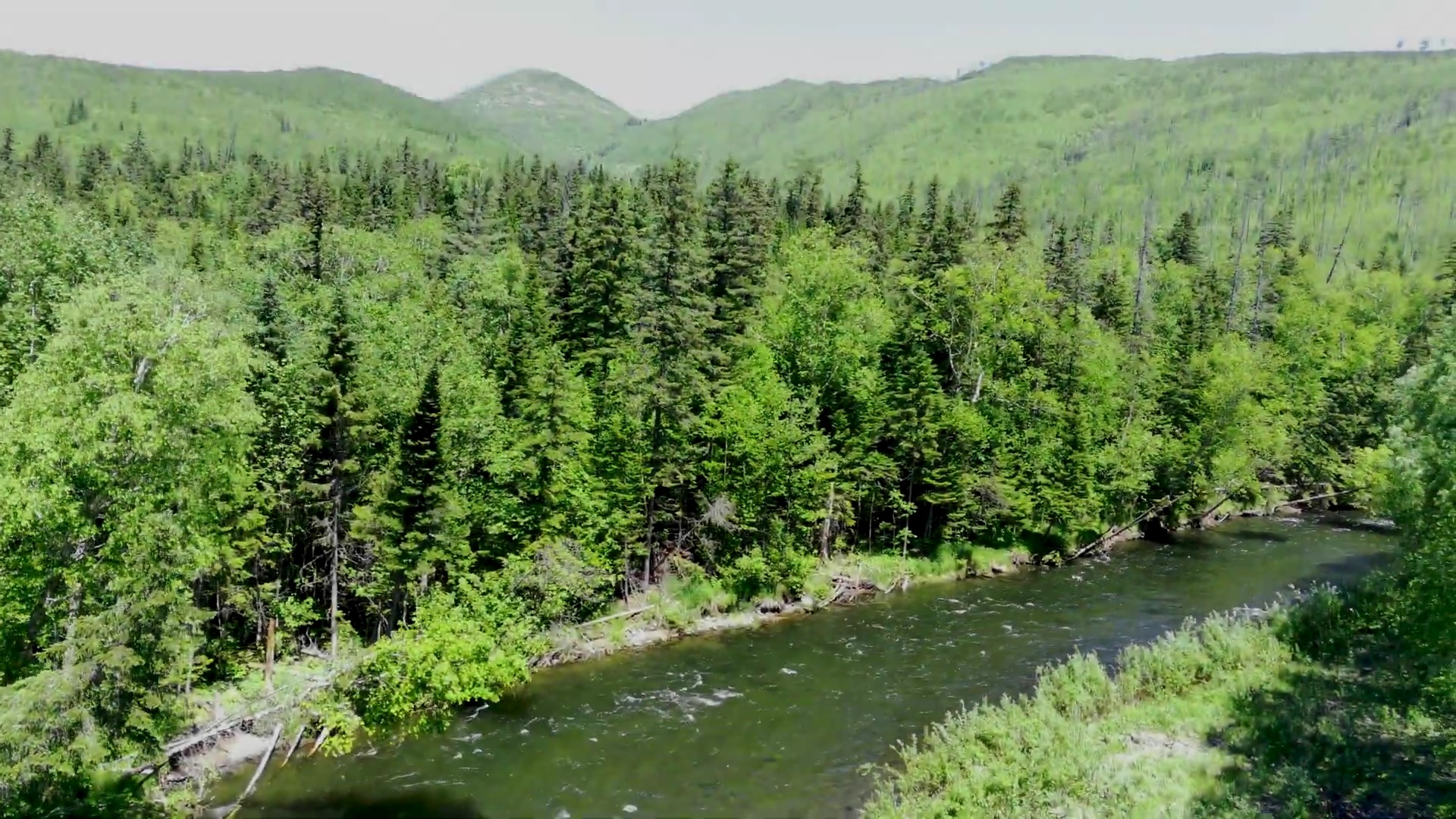 Река Дымни (Хабаровский край) смотреть онлайн