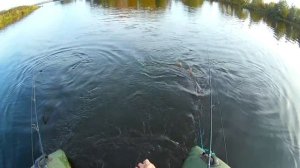 Ловля щуки на дорожку