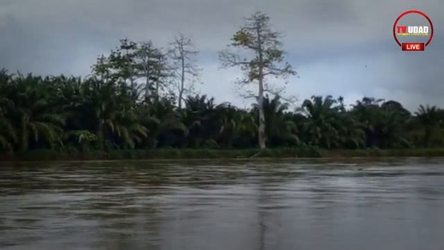 Ular Piton Besar Terekam Kamera Melintas di Sungai Soraya Aceh!! ada Anaconda M4ti di Sungai... смотреть онлайн