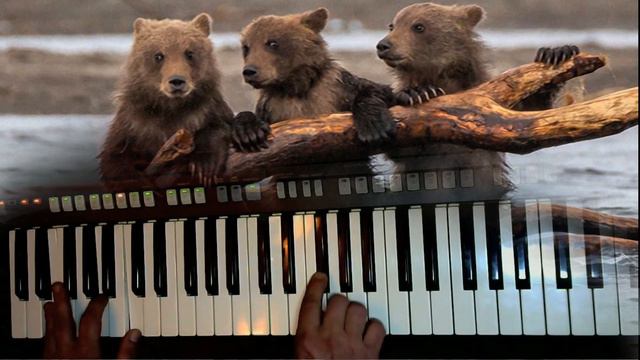 Заплутали Мишки заплутали Cover смотреть онлайн