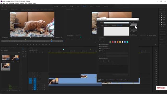 Как использовать Overlays Наложения ❄️ Маркеры | ТОРМОЗИТ Premiere Pro ? Монтаж видео Урок 49 Ч-9 смотреть онлайн