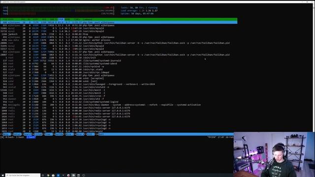 Tmux walkthrough in my local WordPress development process смотреть онлайн
