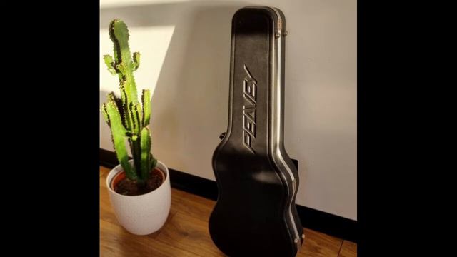 PeaVey Custom Shop Guitar смотреть онлайн