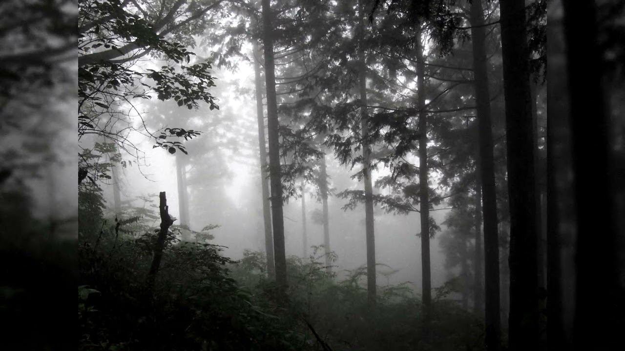 [FREE] PHARAOH x ДЖИЗУС x ВЫШЕЛ ПОКУРИТЬ x WHITE PUNK TYPE BEAT - 'что останется после' / sad guitar смотреть онлайн