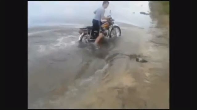 что покупать иж или альфа смотреть онлайн