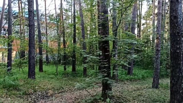? ЯЛЬЧИК 2023/ ЦЕНЫ В ПАНСИОНАТЕ/ АНШЛАГ/ЗАКАТ НАД ОЗЕРОМ/ КАЛИТКА НАШЛАСЬ! #kurnosiklife #яльчик смотреть онлайн