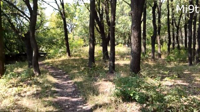 Xiaomi Mi9t vs Xiaomi Mix2s Пример ВИДЕО 1080p 60 fps смотреть онлайн