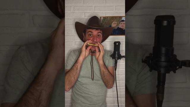 UNA DE LAS CANCIONES MÁS TOCADAS EN ARMÓNICA смотреть онлайн