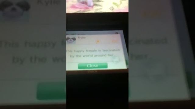 Nintendogs + Cats: How To View Your Trainer Points смотреть онлайн