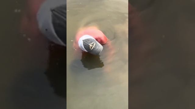 Эй, ты что там с ней делаешь смотреть онлайн