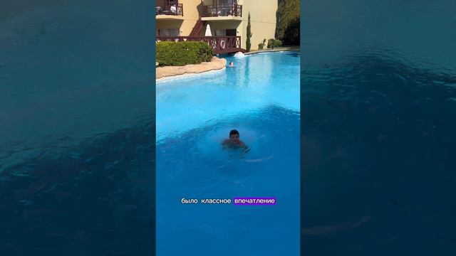 Где отдыхал Ярослав? смотреть онлайн