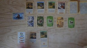 Колонизаторы. Быстрая карточная игра.